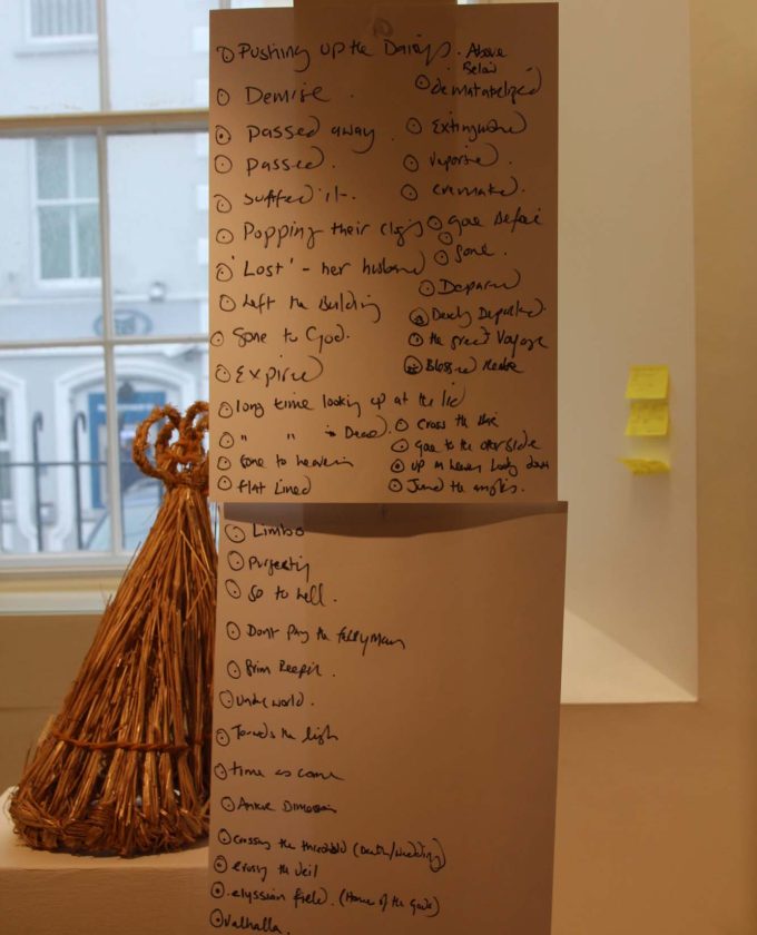 maevecollins-Enteringotherterritories19