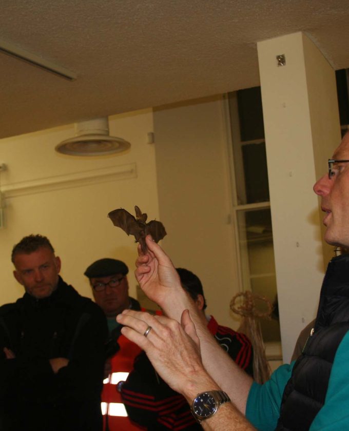 maevecollins-Enteringotherterritories21