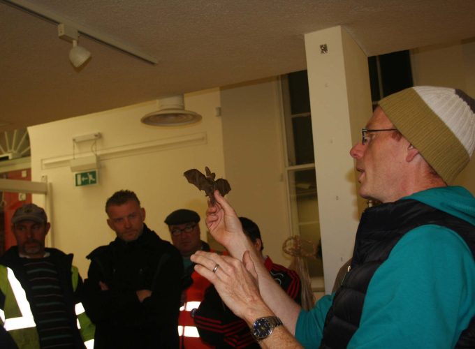 maevecollins-Enteringotherterritories21