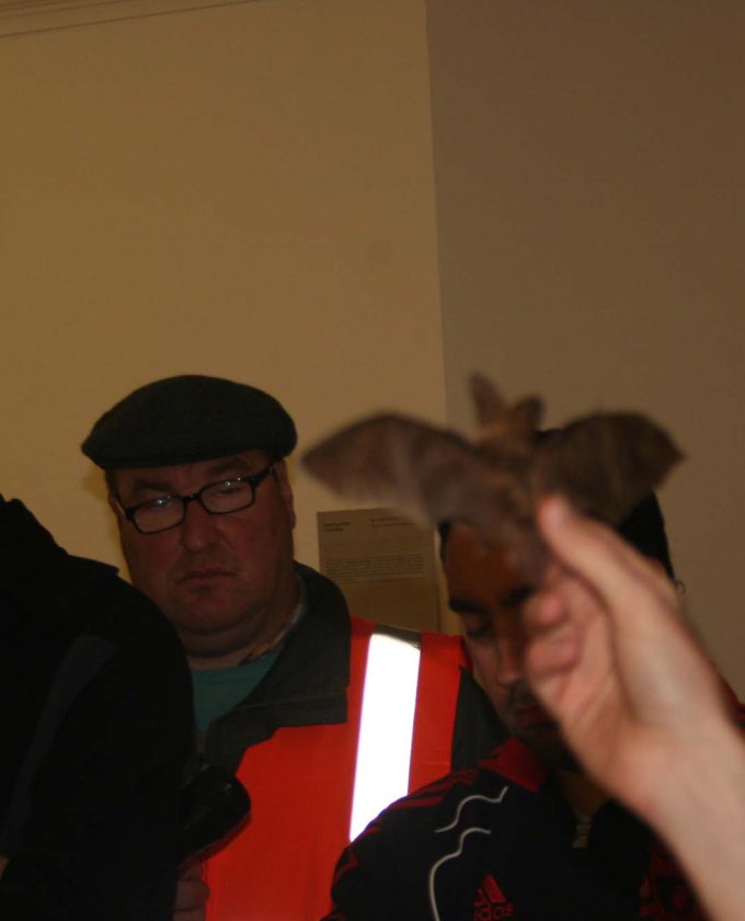 maevecollins-Enteringotherterritories22