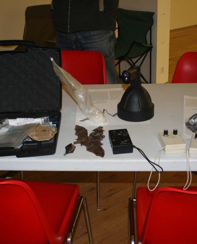 maevecollins-Enteringotherterritories23