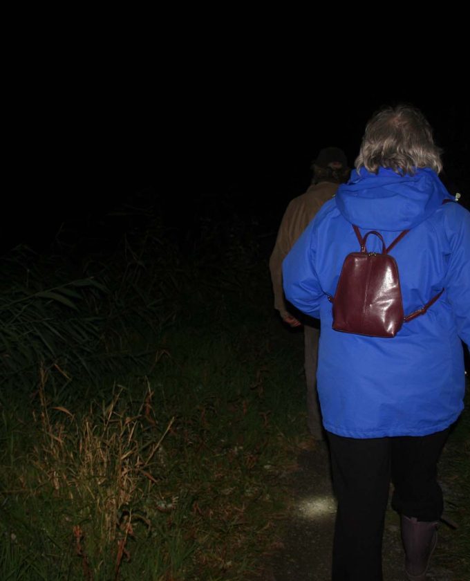 maevecollins-Enteringotherterritories27