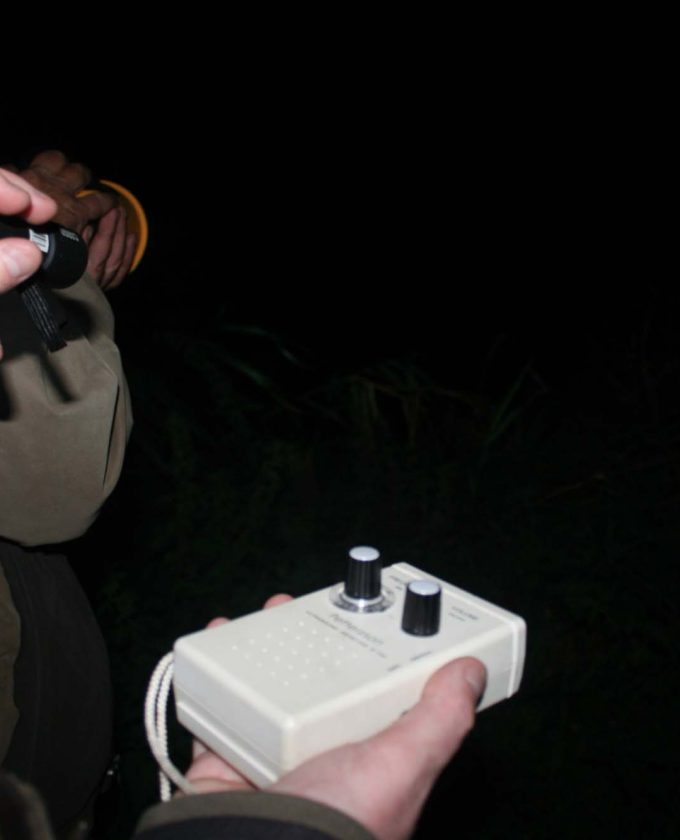 maevecollins-Enteringotherterritories28