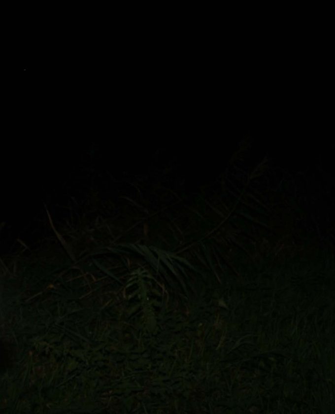 maevecollins-Enteringotherterritories30