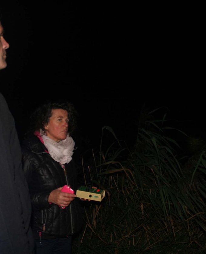 maevecollins-Enteringotherterritories31