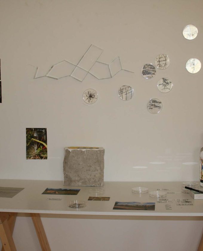 maevecollins-Enteringotherterritories39