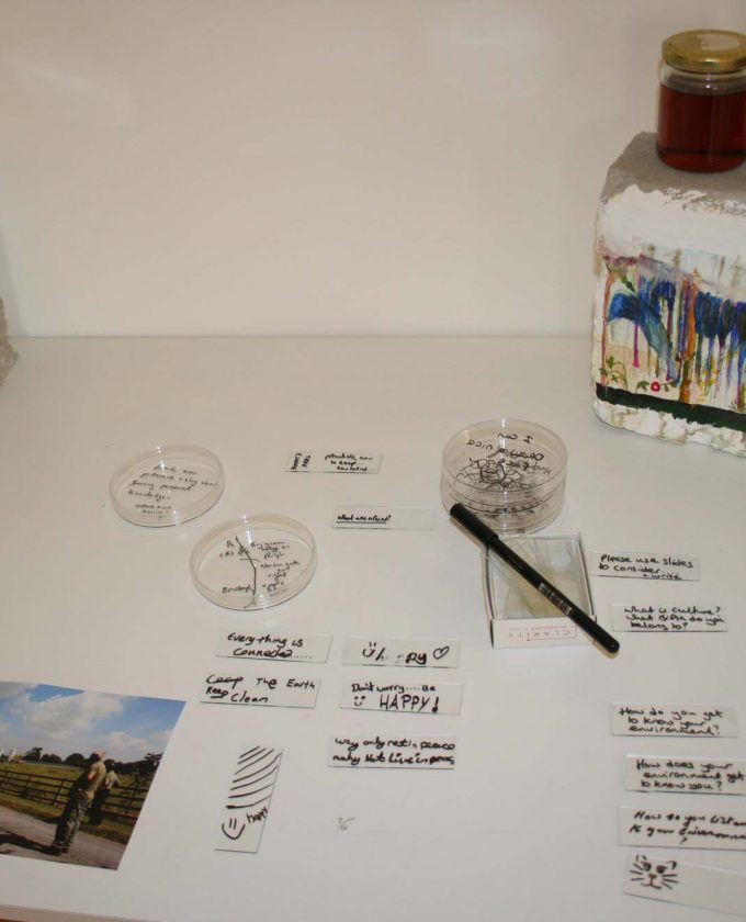 maevecollins-Enteringotherterritories41