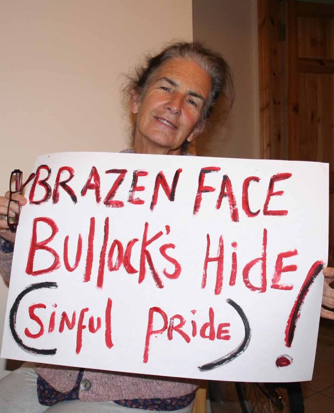 maevecollins-amidnightcourtsitting11