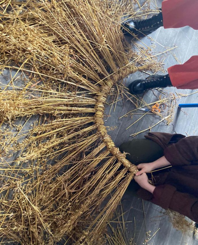 maevecollins-bacadh11