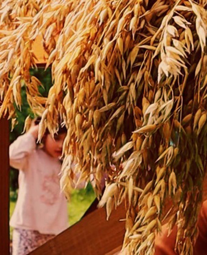 maevecollins-bacadh20