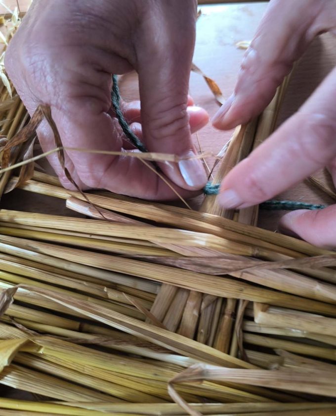 maevecollins-bacadh27