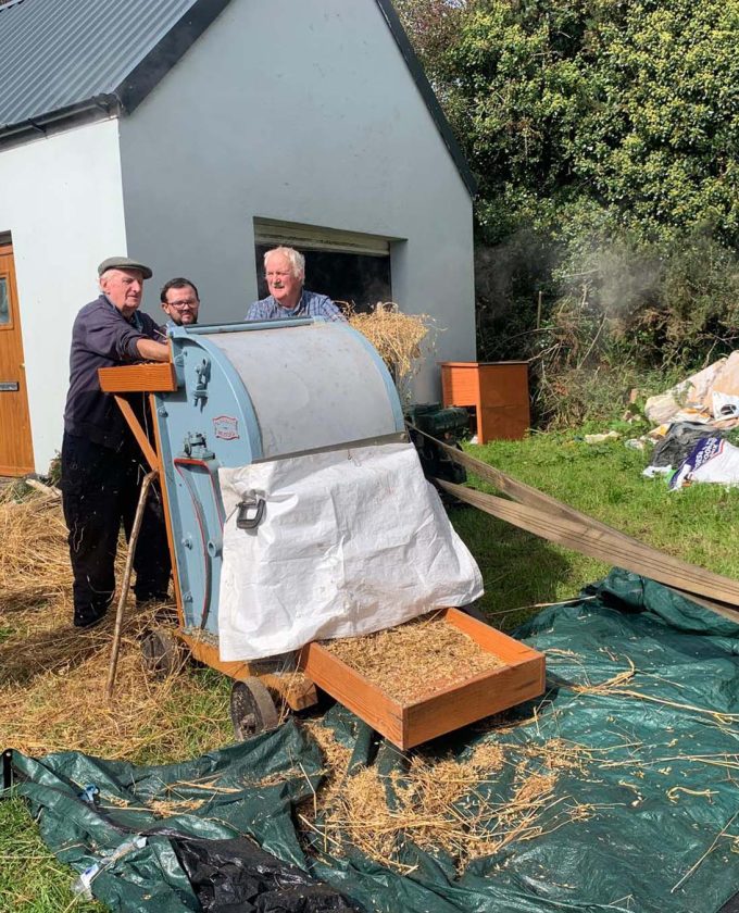 maevecollins-bacadh3