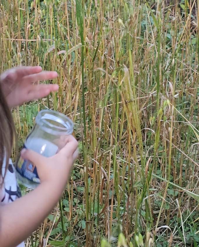 maevecollins-bacadh39