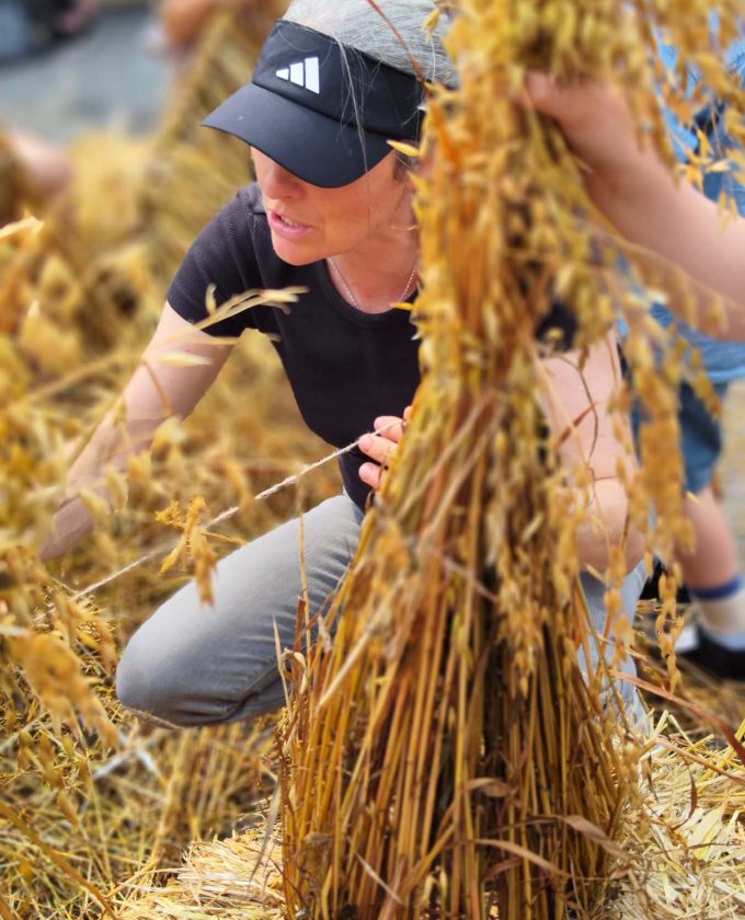 maevecollins-bacadh49