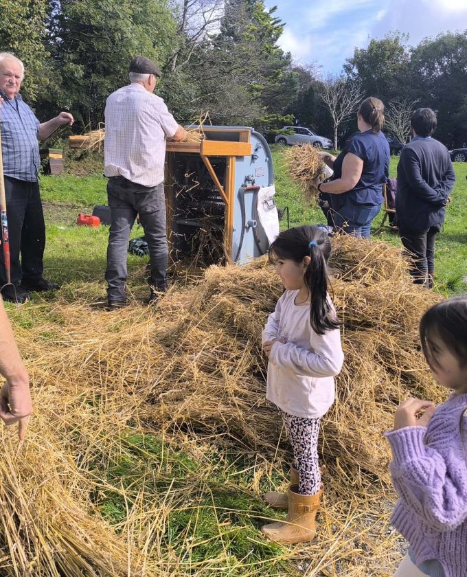 maevecollins-bacadh5