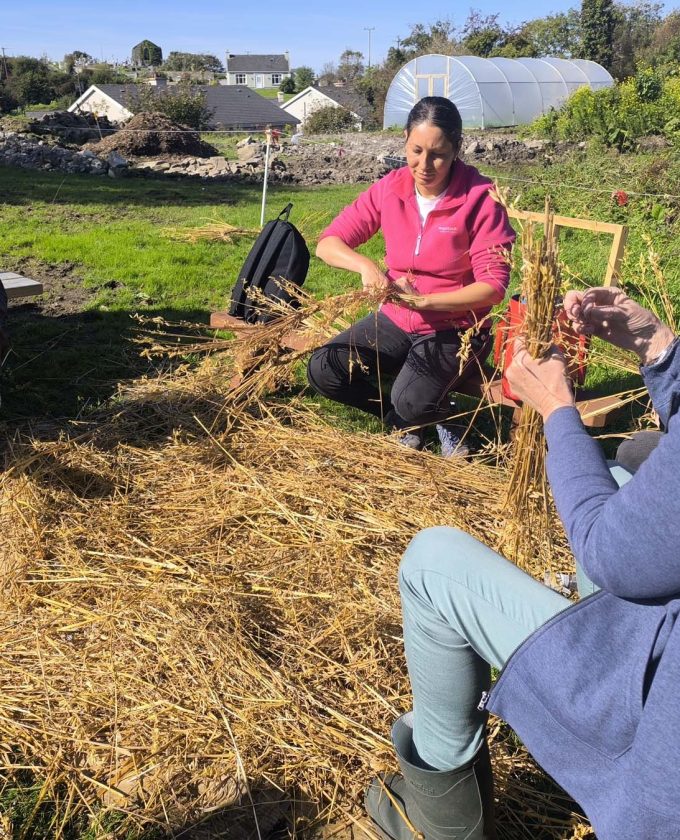 maevecollins-bacadh51