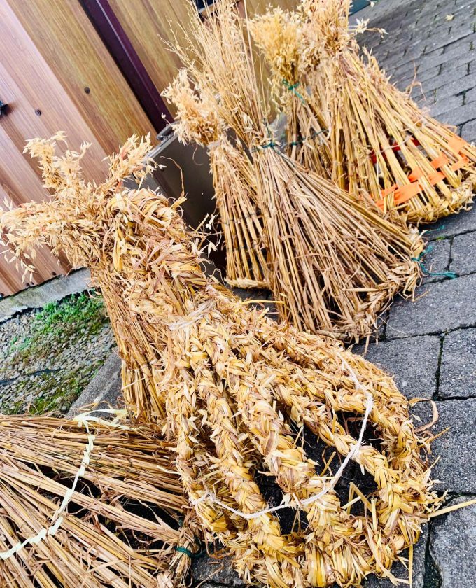 maevecollins-bacadh60