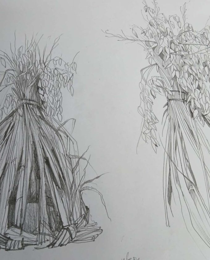 maevecollins-bacadh9