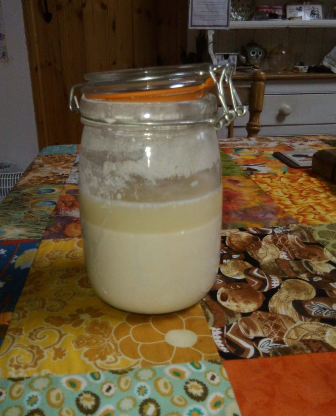 maevecollins-foldandrise107