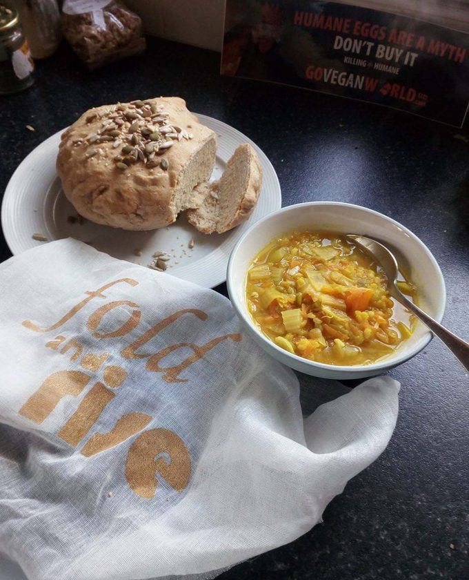 maevecollins-foldandrise14