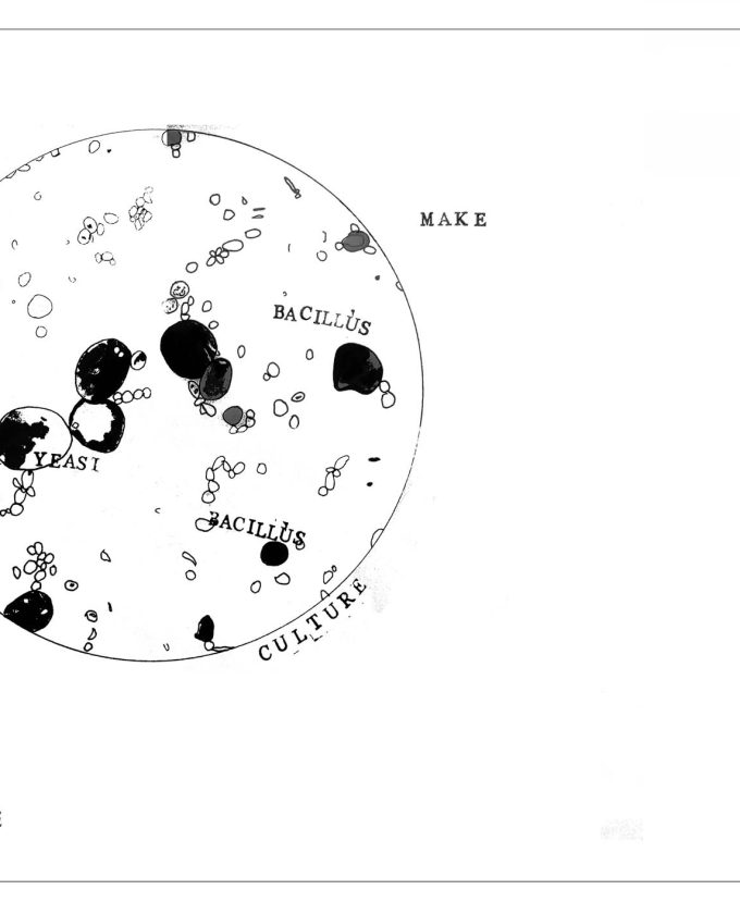 maevecollins-foldandrise28