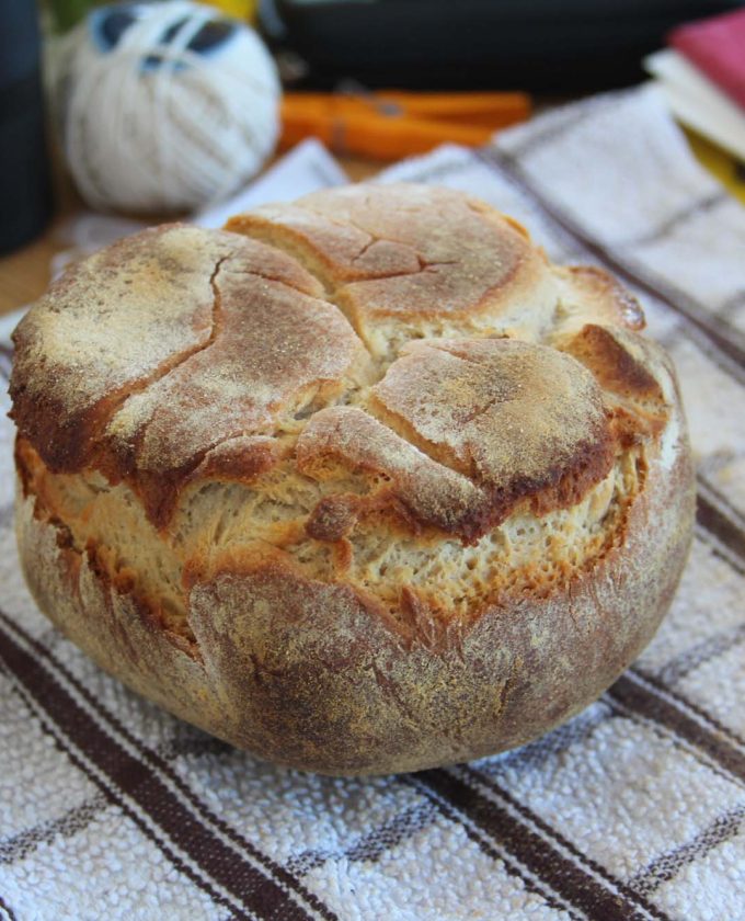 maevecollins-foldandrise64