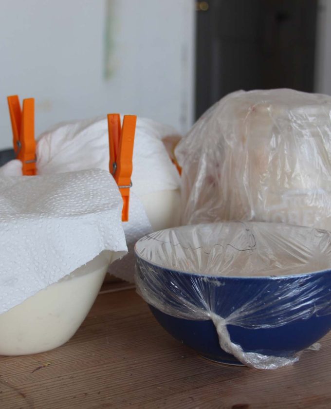 maevecollins-foldandrise66