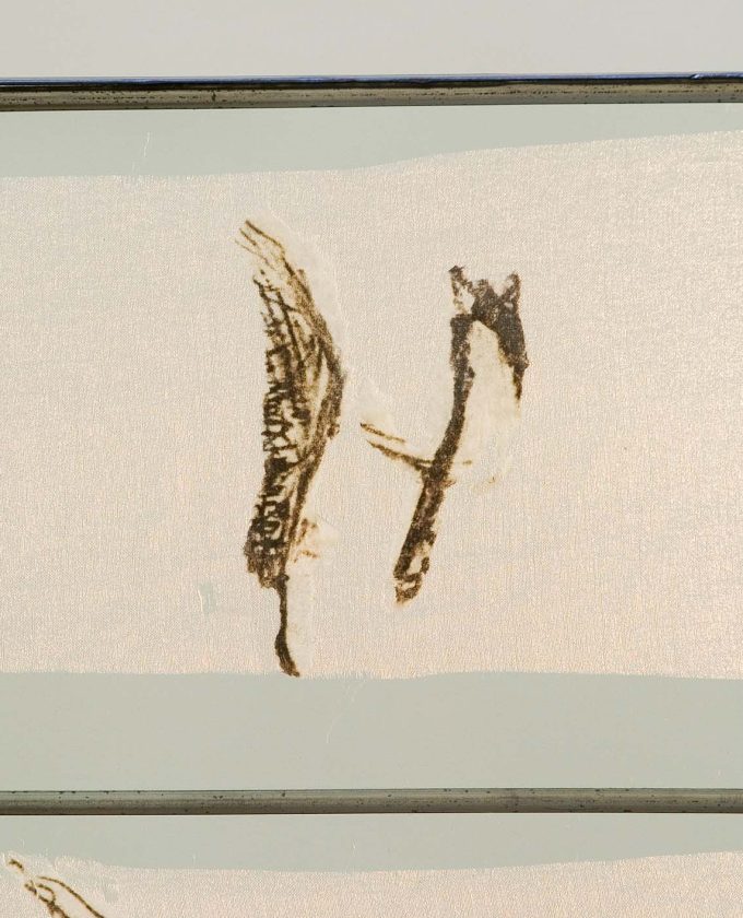 Detail of "Residue" by Maeve Collins.