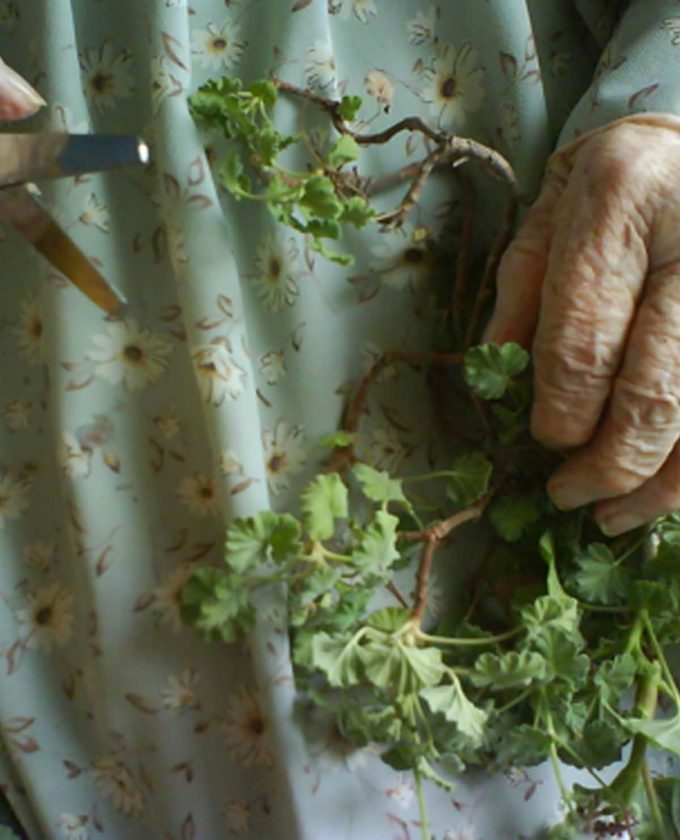 maevecollins-nothingtoloose4