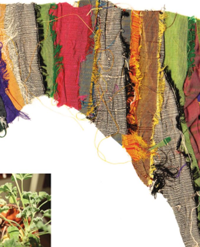 maevecollins-nothingtoloose6