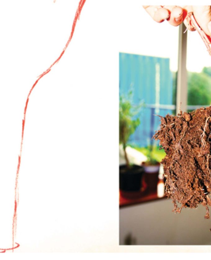 maevecollins-nothingtoloose7