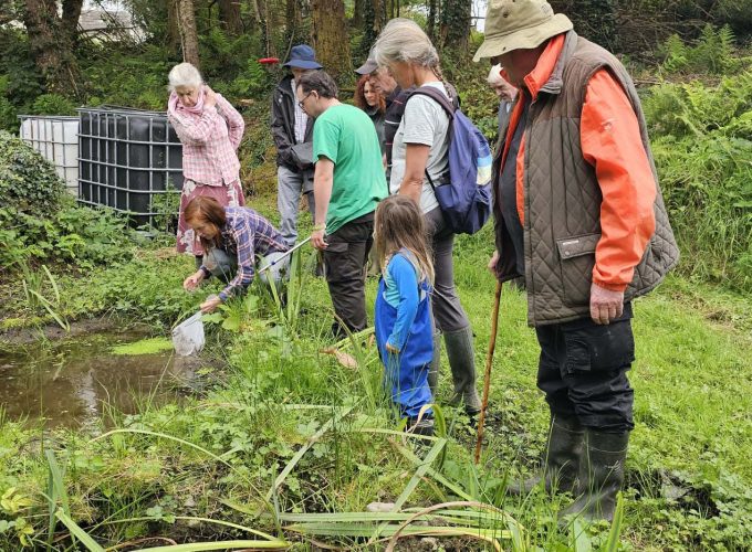 maevecollins-ponder1