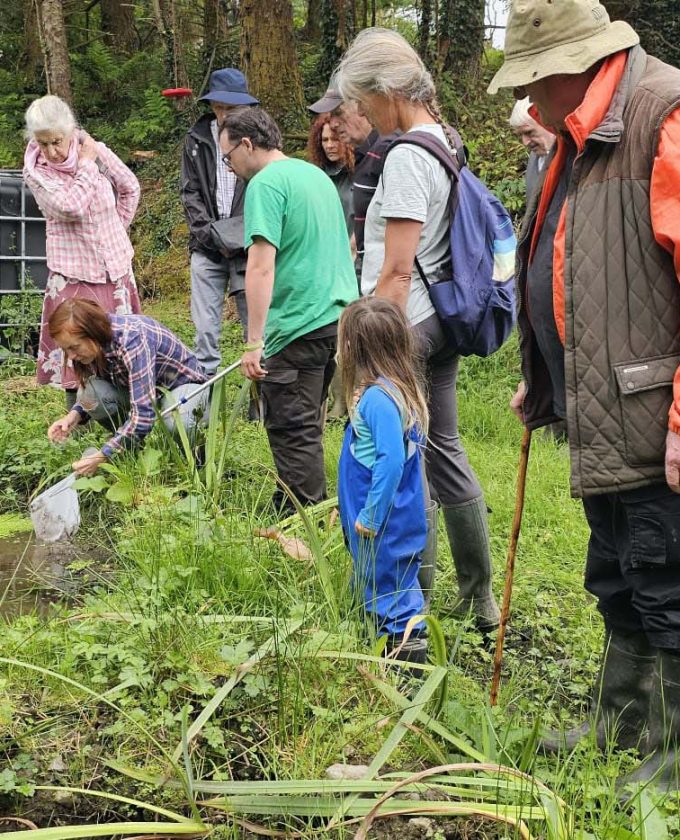 maevecollins-ponder1