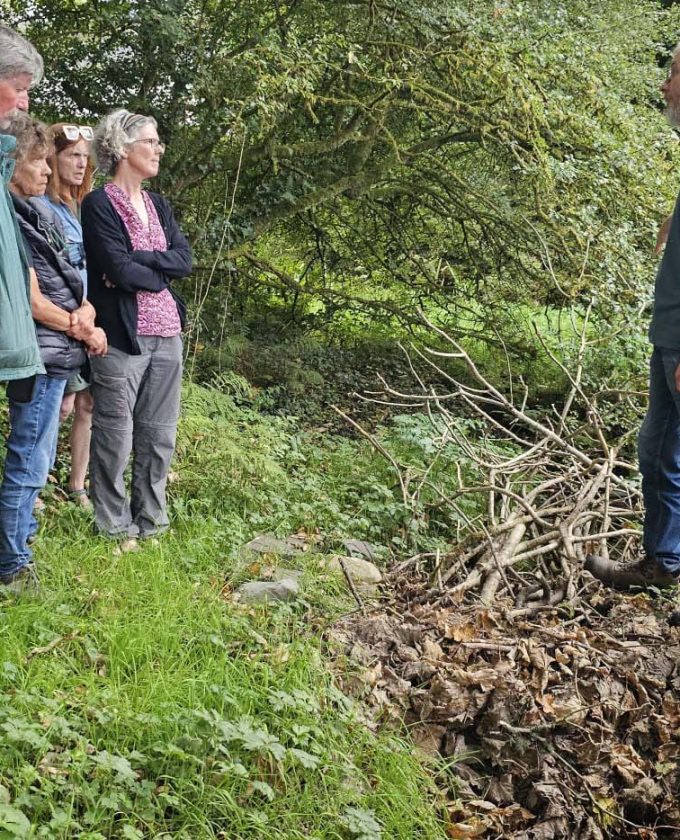 maevecollins-ponder10