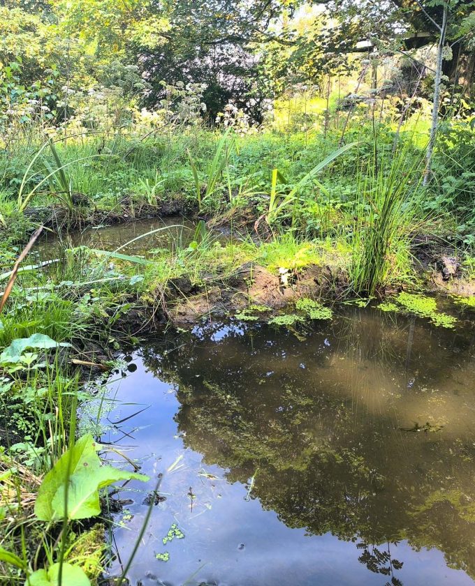 maevecollins-ponder12