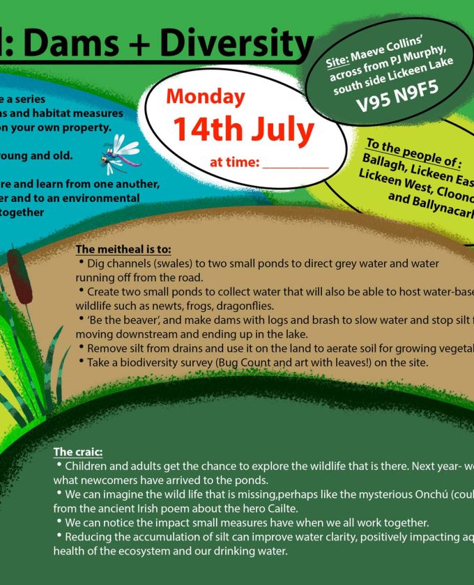 maevecollins-ponder2