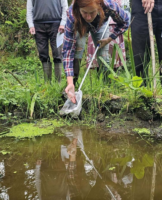 maevecollins-ponder24