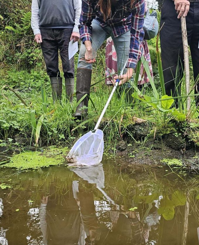 maevecollins-ponder25