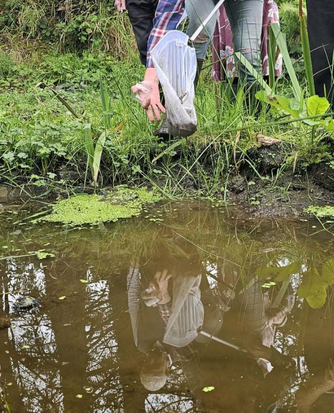 maevecollins-ponder26