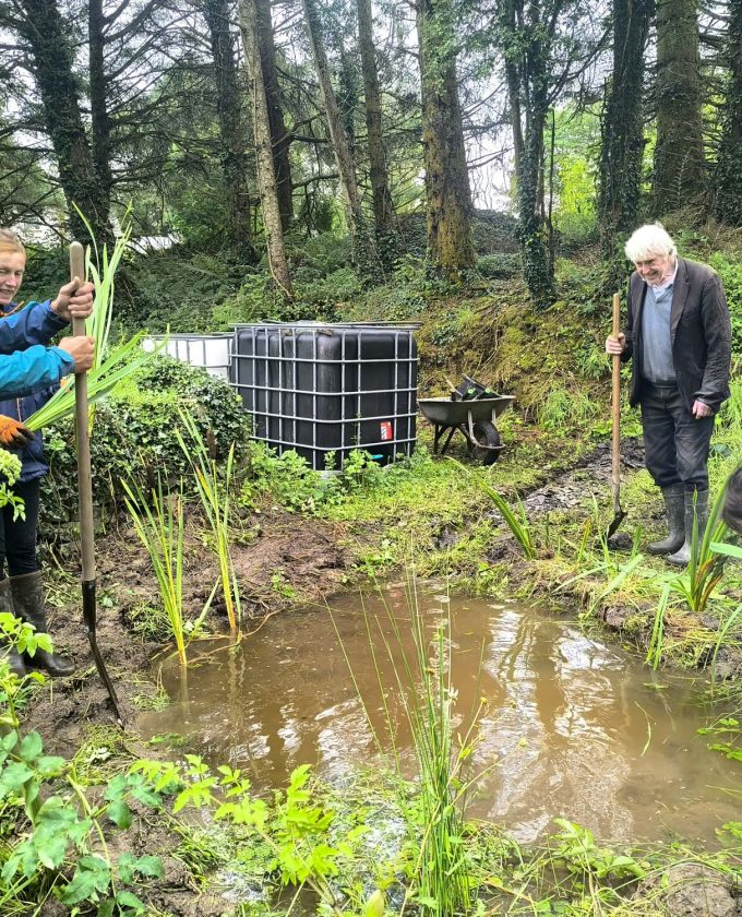 maevecollins-ponder5