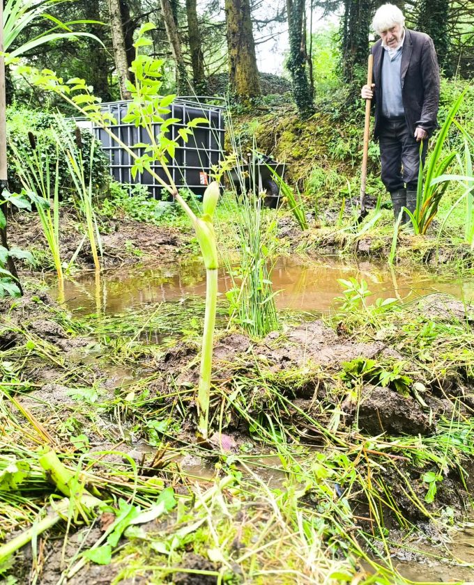 maevecollins-ponder6