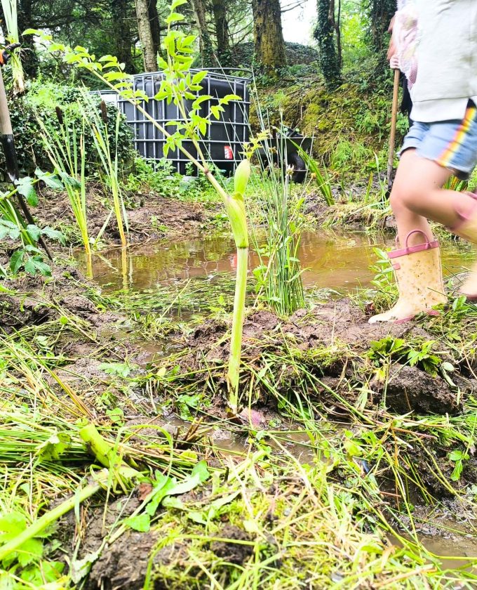 maevecollins-ponder7