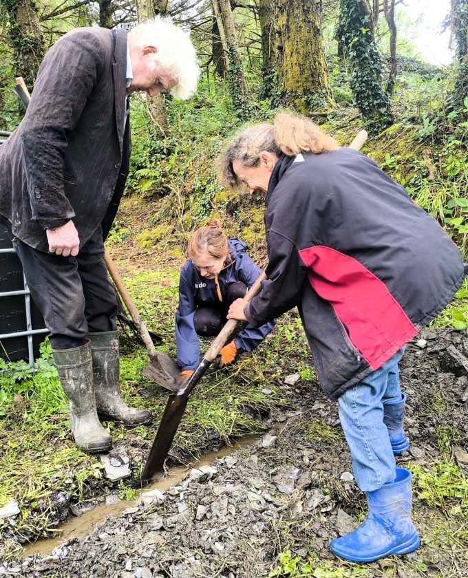 maevecollins-ponder8