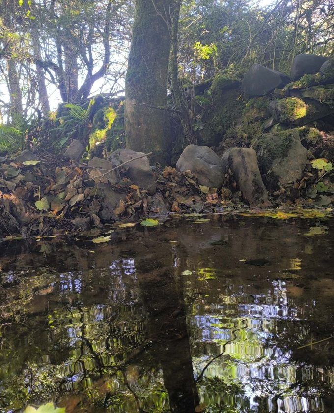 maevecollins-ponder9