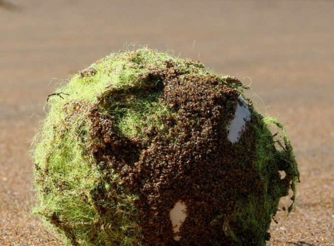 maevecollins-soakedinluxury3