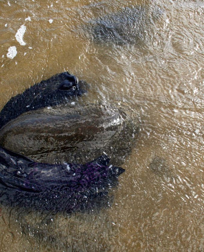 maevecollins-soakedinluxury4