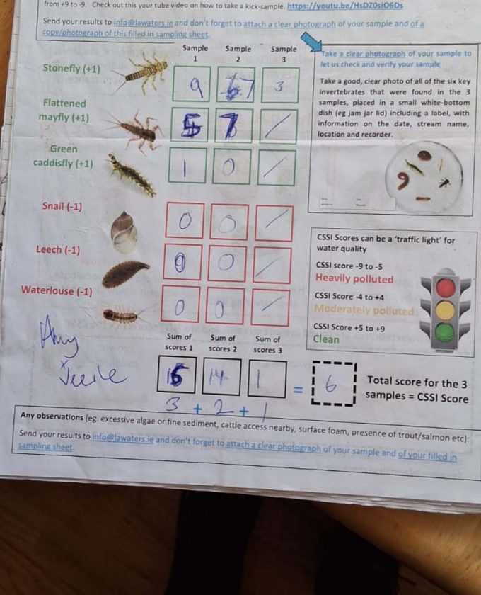 maevecollins-sruth10