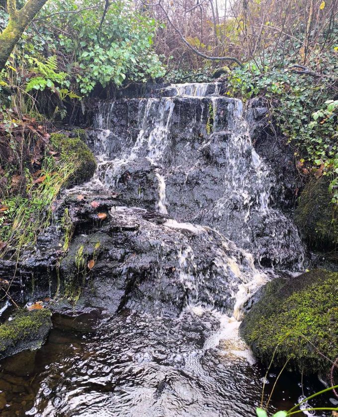 maevecollins-sruth11