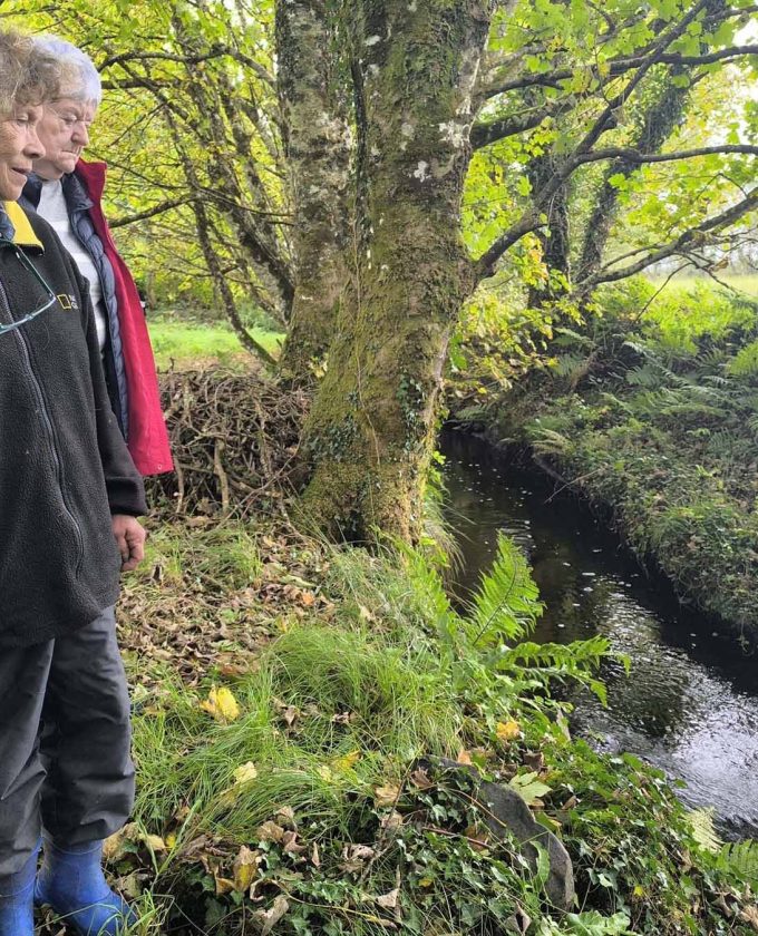 maevecollins-sruth16