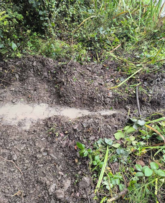 maevecollins-sruth21